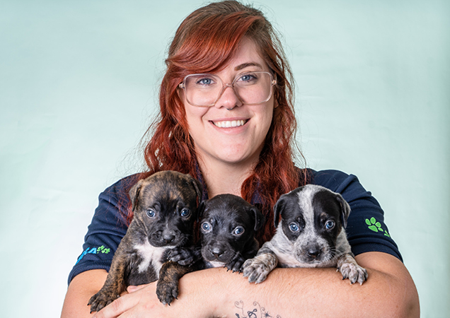 The three puppies with their foster carer Nadia.